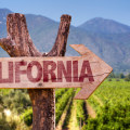 The Unique Characteristics of Wine Production in Central California