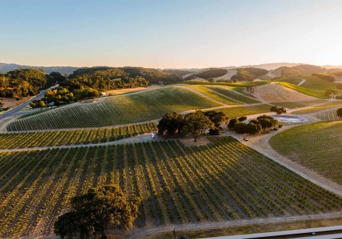 The Thriving Wine Industry in Central California