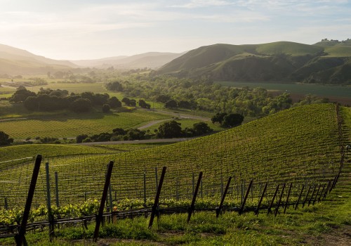 The Challenges and Triumphs of Wineries in Central California