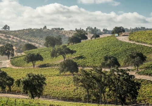 The Growing Impact of Wine Tourism in Central California