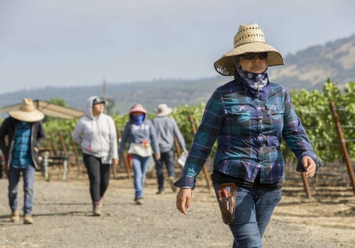 Navigating Labor and Employment Issues in Central California's Wine Industry: An Expert's Perspective